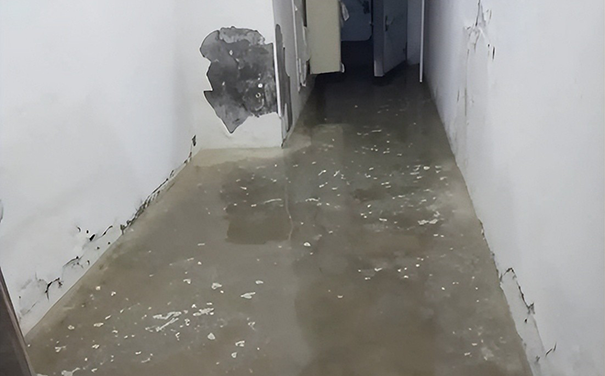 防霉涂料與乳膠漆區(qū)別在哪里?