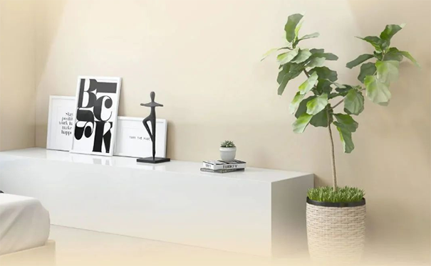 墻面臟污、發(fā)霉、不整潔怎么辦？