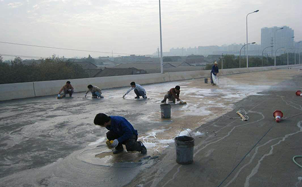 防水材料哪種最好?